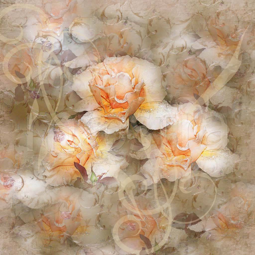 Фотообои Нежные розы абстракция